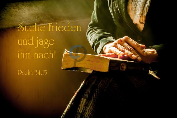 528 Jahreslosung 2019 Buch