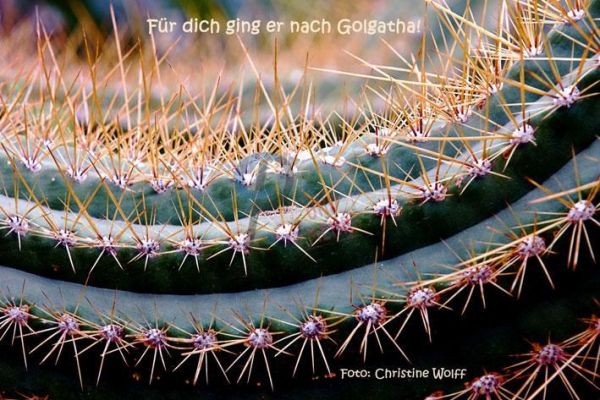 279 - Für dich ging er nach Golgatha!