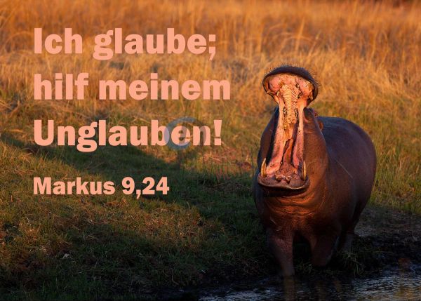 720 - Jahreslosung 2020 - Nilpferd 2