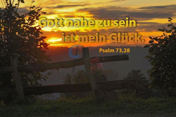 204-Jahreslosung 2014