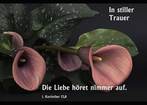 102-Trauerkarte Set