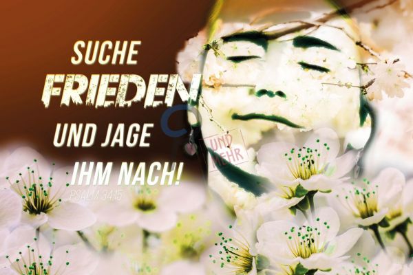609 Jahreslosung 2019 Blüten