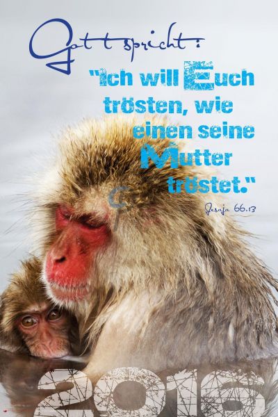 261-Jahreslosung 2016 - Tiermutter (Hochformat)
