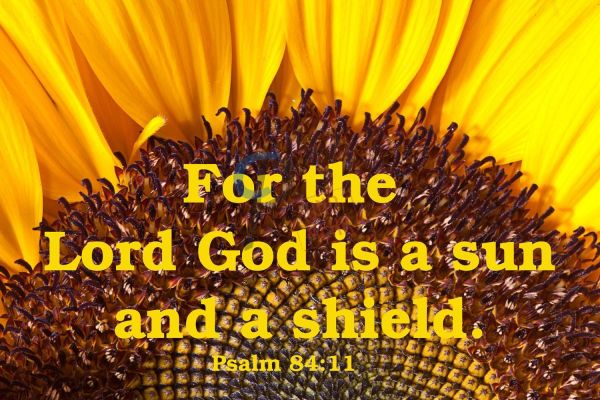 646 English Psalm
