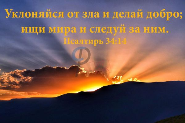 563 Jahreslosung-R