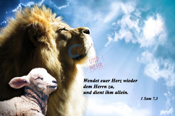 658 - Löwe und Lamm