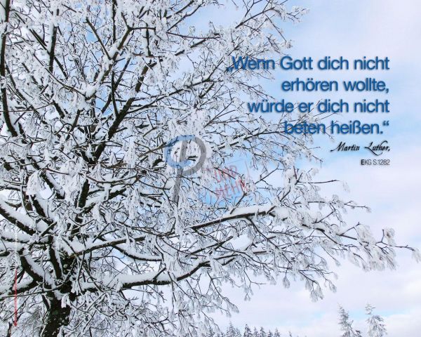 264-Martin_Luther_Zitat