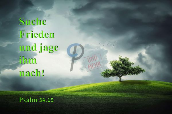 537 Jahreslosung 2019 Wolken und Baum