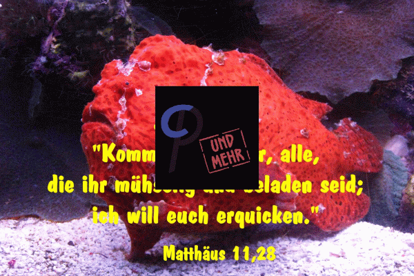 370 - Matthäus 11,28