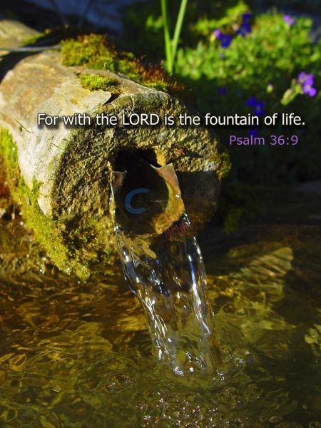 18.1 Psalm 36:6