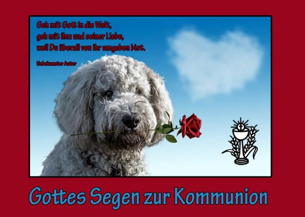 27-Zur Kommunion im Set