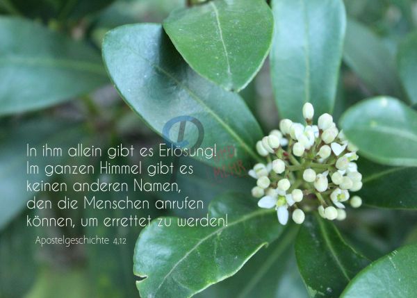 685 - Apostelgeschichte 4,12