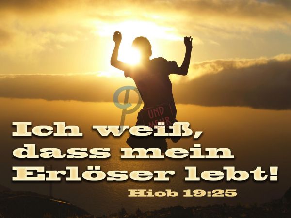 24-Hiob 19:25