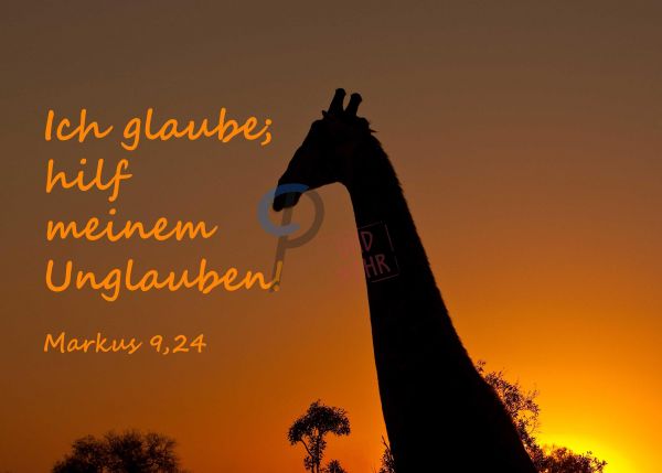 697 - Jahreslosung 2020 - Giraffe