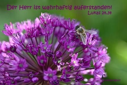 268-Lukas 24, 34