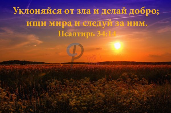 566 Jahreslosung-R