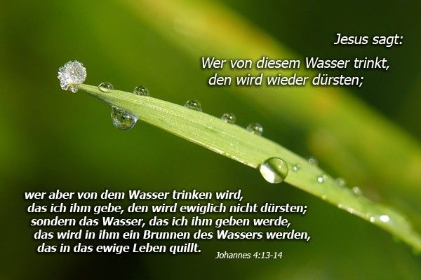 100-Johannes 4 13-14