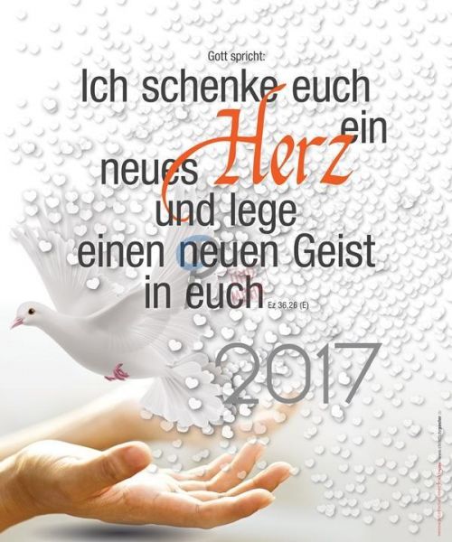 308-Jahreslosung 2017 - Taube