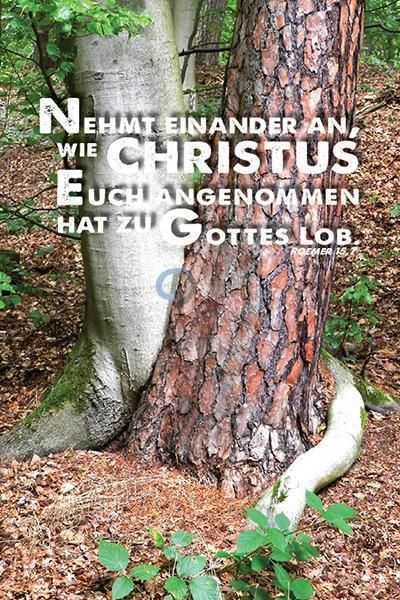 219-Jahreslosung 2015 - Bäume