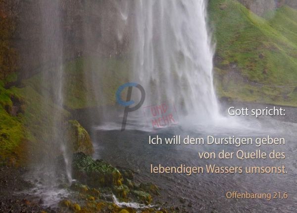 384 - Jahreslosung 2018