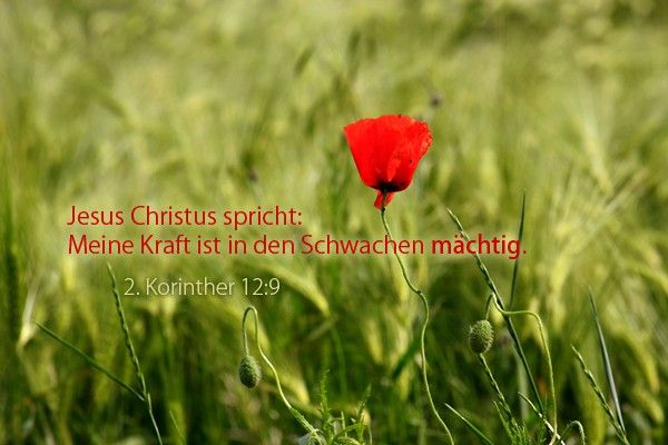 48-Jahreslosung 2012