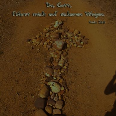 442 - Psalm 23,3