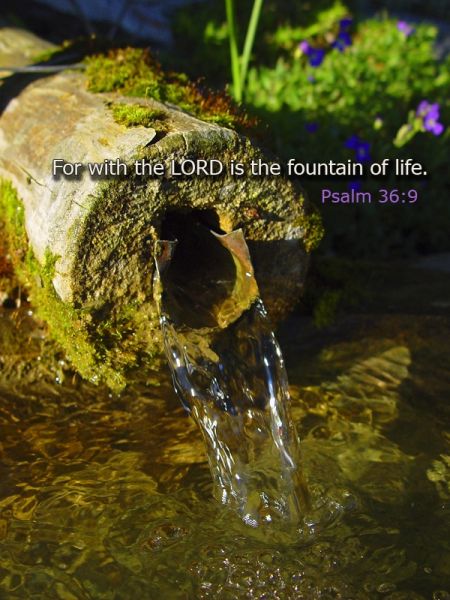 18.1 Psalm 36:6