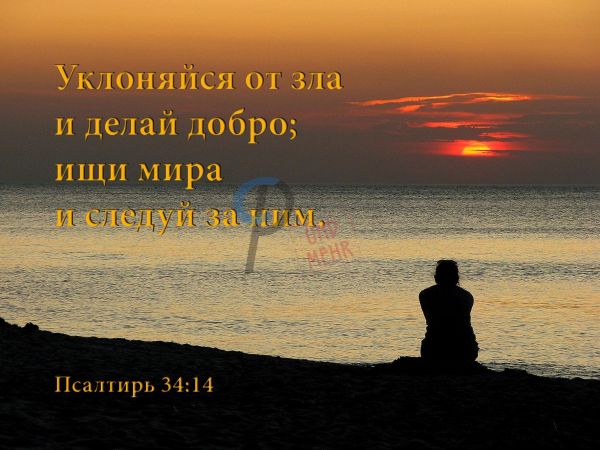 545 Jahreslosung-R 2019