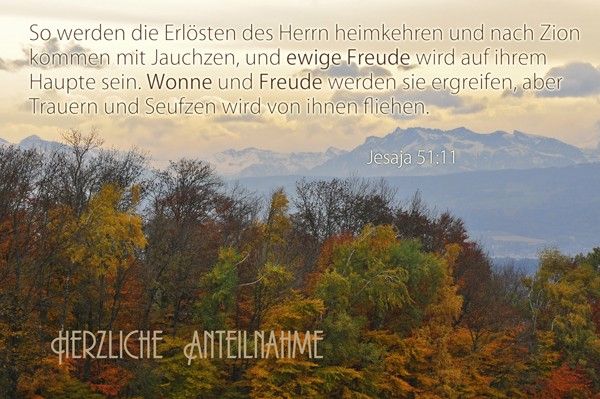 1001-Kondolenzkarte Set (Jesaja 51:11)
