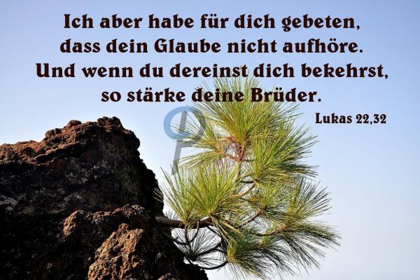 373 - Lukas 22,32