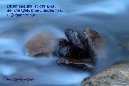 291 - 1. Johannes 5