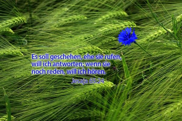 26-Jesaja 65:24