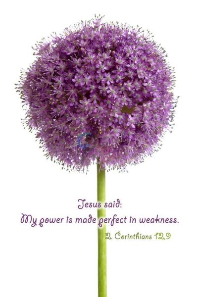 66-2. Corinthians 12:9