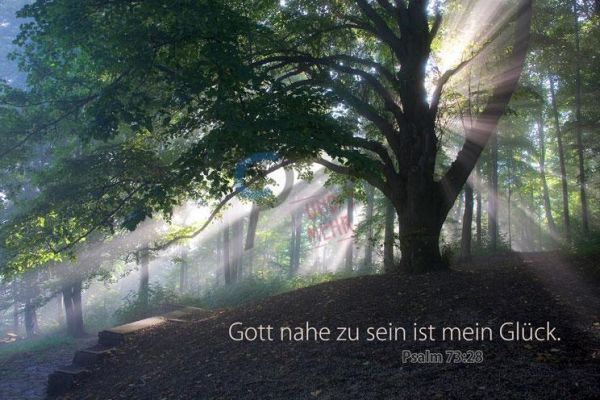 205-Jahreslosung 2014