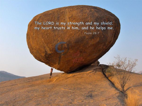 175-Psalm 28:7