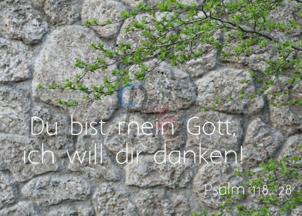 679 - Psalm 118,28