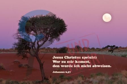 792 - Joh. 6,37 - Savannenbaum