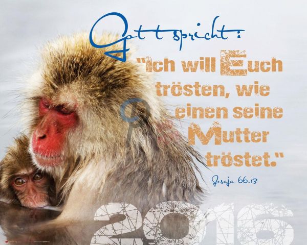 255-Jahreslosung 2016 - Tiermutter (Querformat)