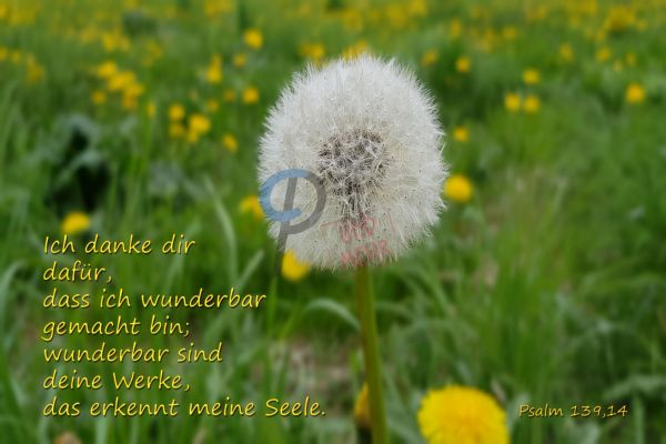 674 - Ich danke dir .....