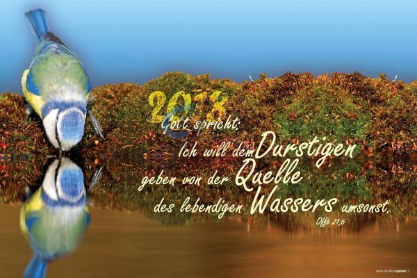 512.1 - Jahreslosung 2018 Vogel quer (mit Jahreszahl)
