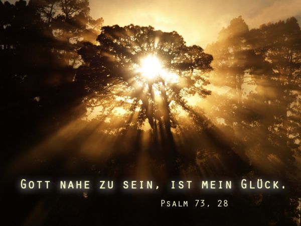 209-Jahreslosung 2014