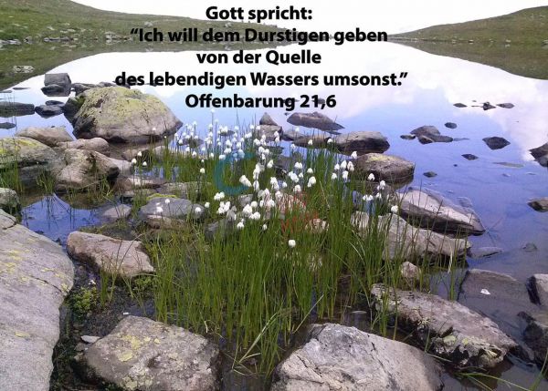 376 - Jahreslosung 2018