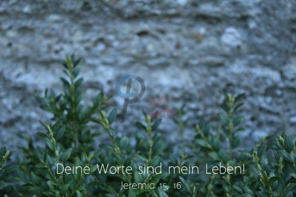 676 - Deine Worte ...