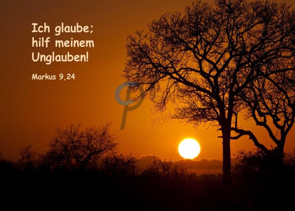 718 - Jahreslosung 2020 - Bäume bei Sonnenuntergang