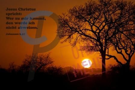 794 - Joh. 6,37 - Sonnenuntergang