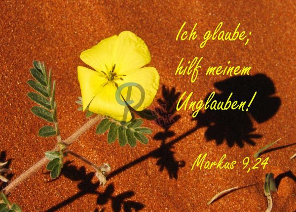724 - Jahreslosung 2020 - Gelbe Blume