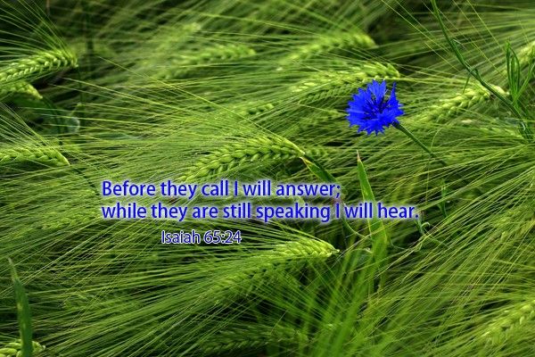 202-Isaiah 65:24