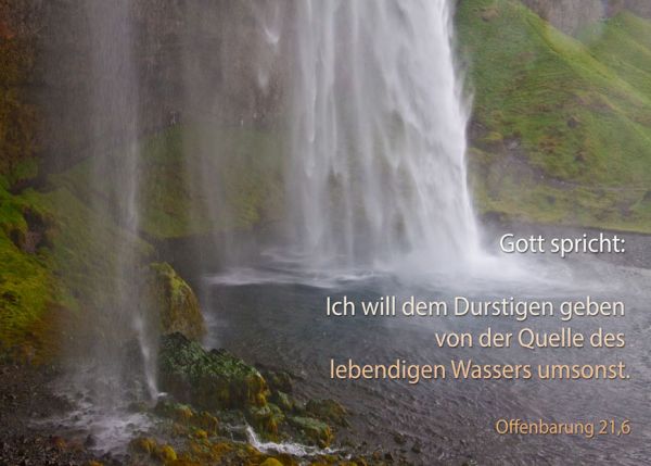 384 - Jahreslosung 2018
