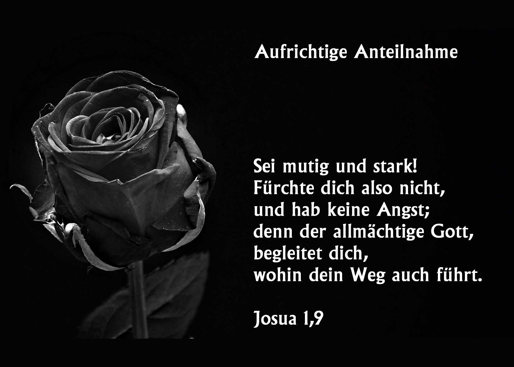 Trauerkarte Aufrichtige Anteilnahme Christliche Poster