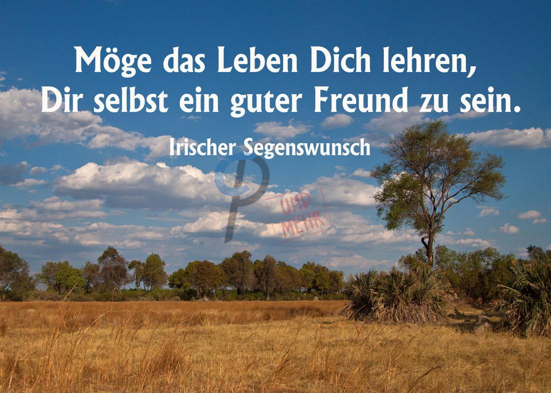 Möge das Leben Dich lehren, Dir selbst ein guter Freund zu ...